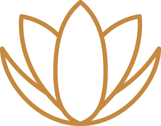 Personalized Wellness